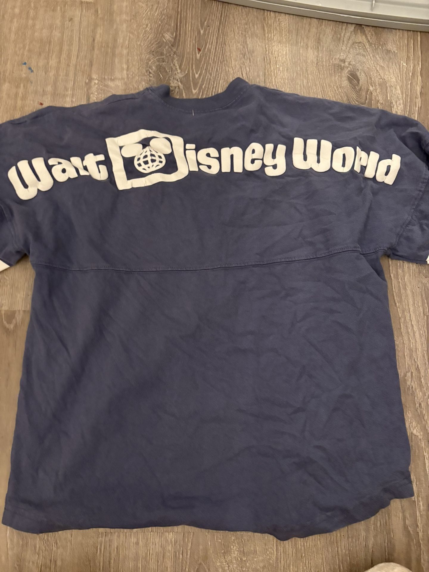 Walt Disney World Spirit Jersey
