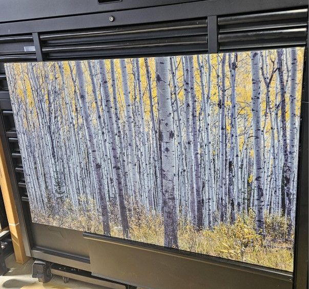 Canvas Art