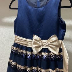 Meeting Dress (blue)