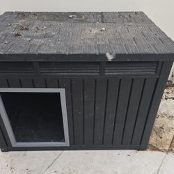 House Dog  Outdoor/ Indoor