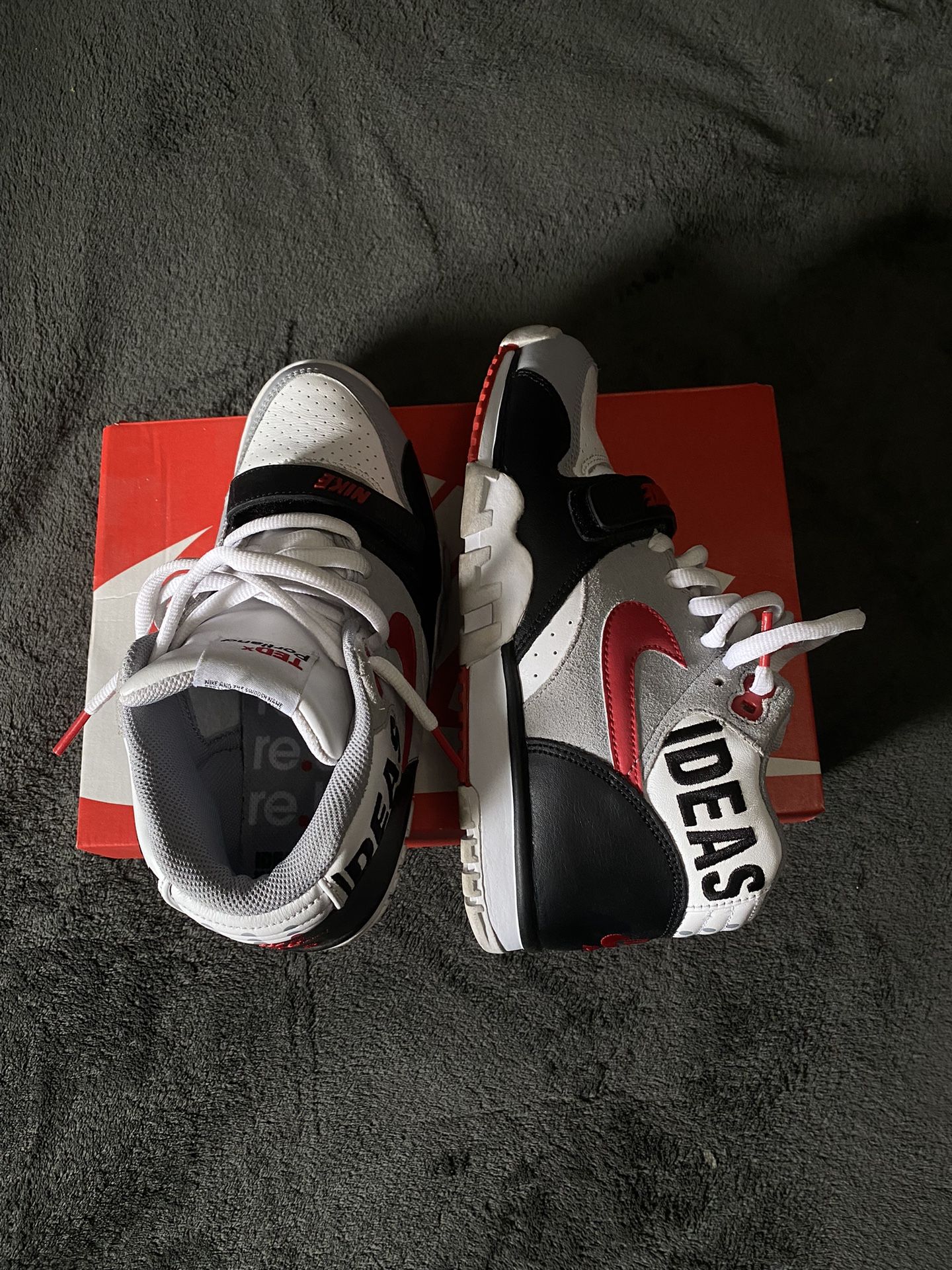 Ted X Portland X Nike Air Trainer 1 Super Rare