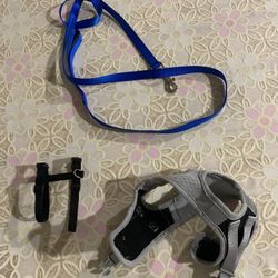 Cat Harnesses And Leash