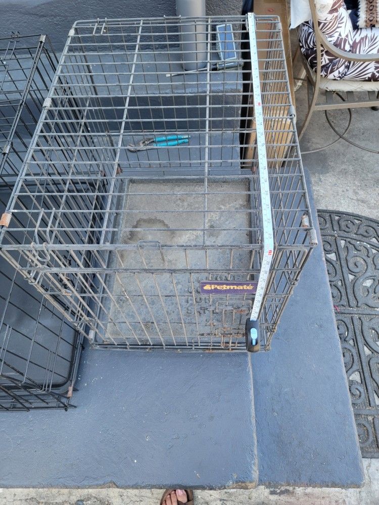 Dog Kennel