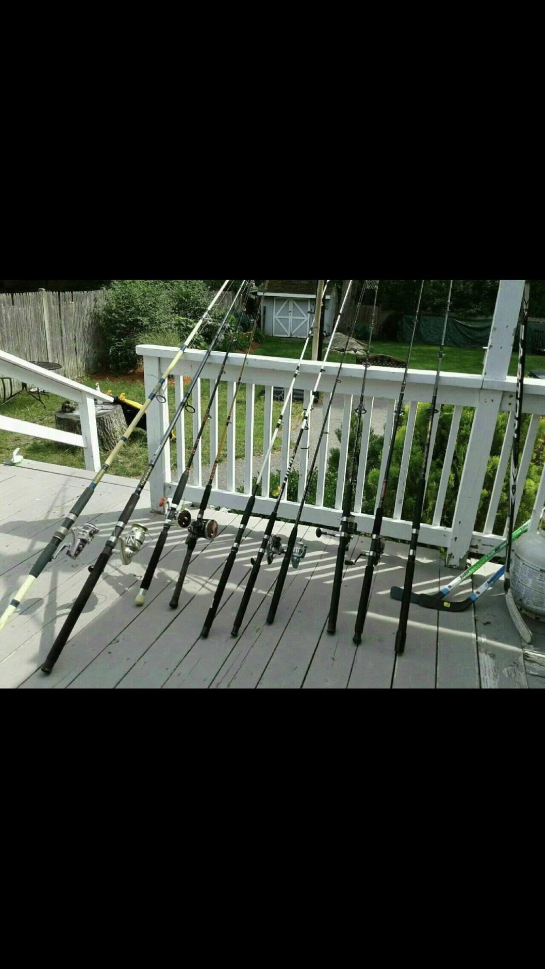 All types rods reel. More than pic shows