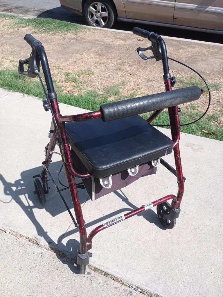 Adult Walker 