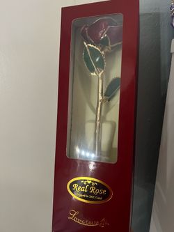 24K Gold Rose