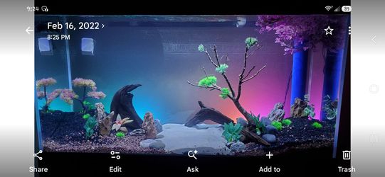 Aquarium