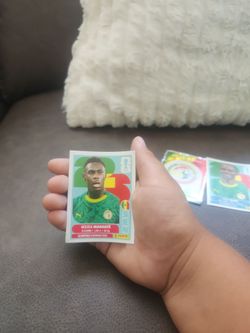 Panini sengal  están  pillas