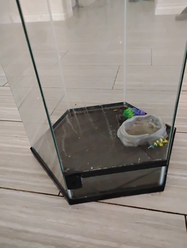 Reptile Tank