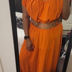 Plus Size Orange Dress (Gabi Fresh & Fashion to Figure collab) Size 4X