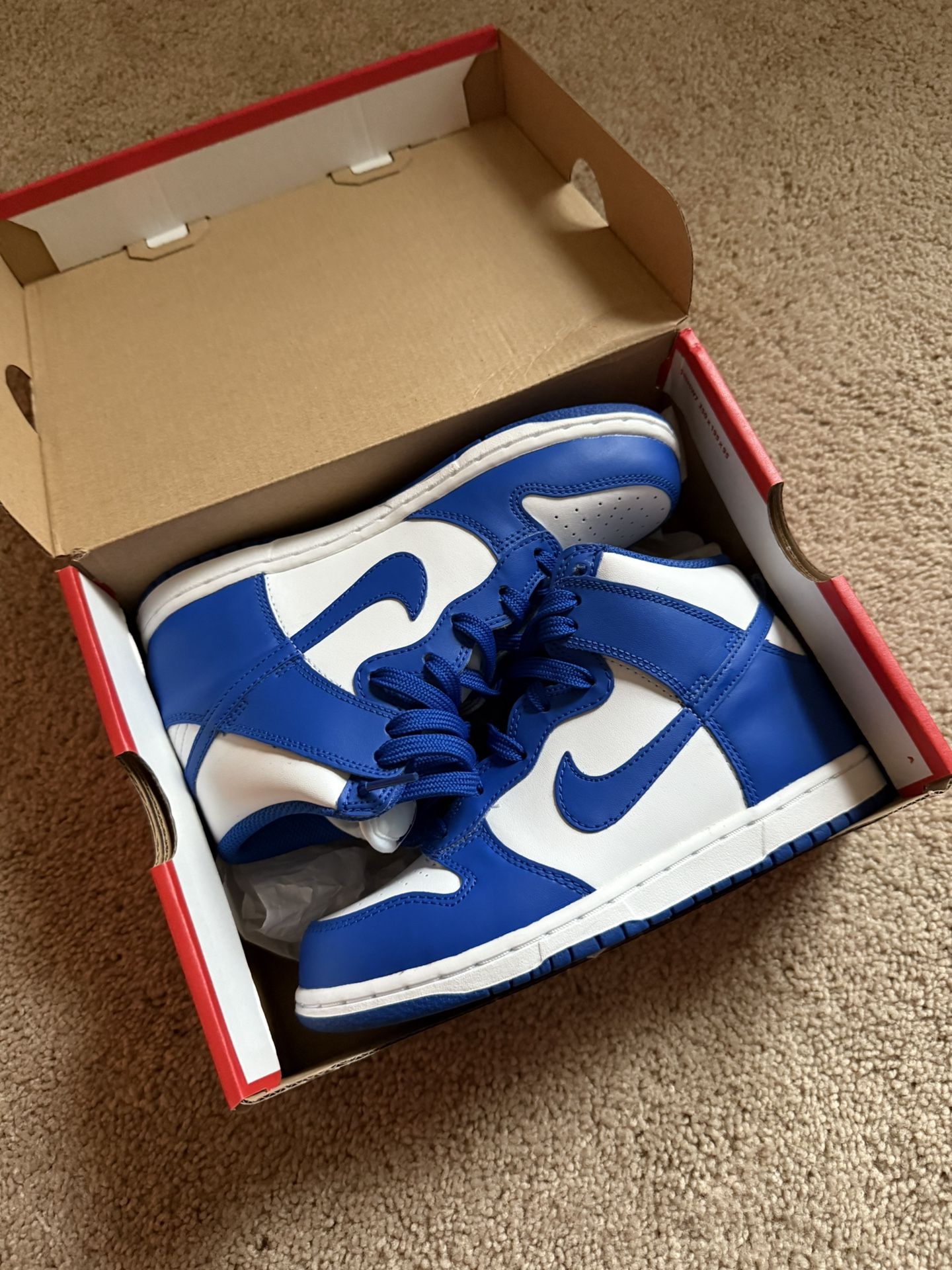Nike Dunk High