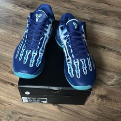Kobe X Ray