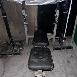Work Out Bench