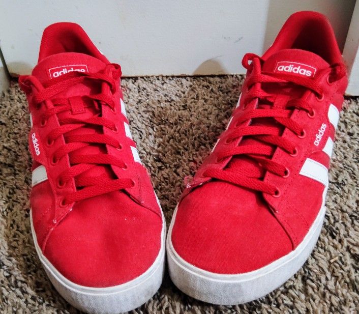 Brand New Classic Adidas Low Tops