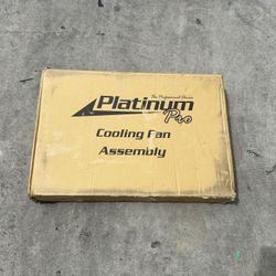 Dodge Charger Fan 