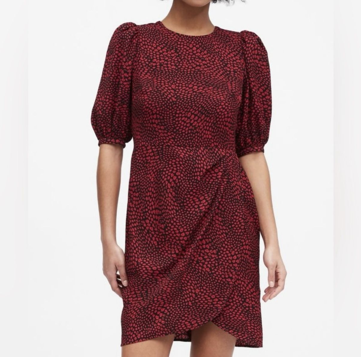 Banana Republic Red Black Leopard Dress