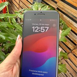 iPhone SE 