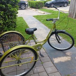 Grande Color Verde Limon