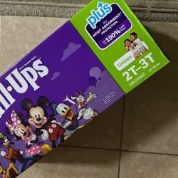 Disney Pull-Ups 2T-3T 128 Diapers Count