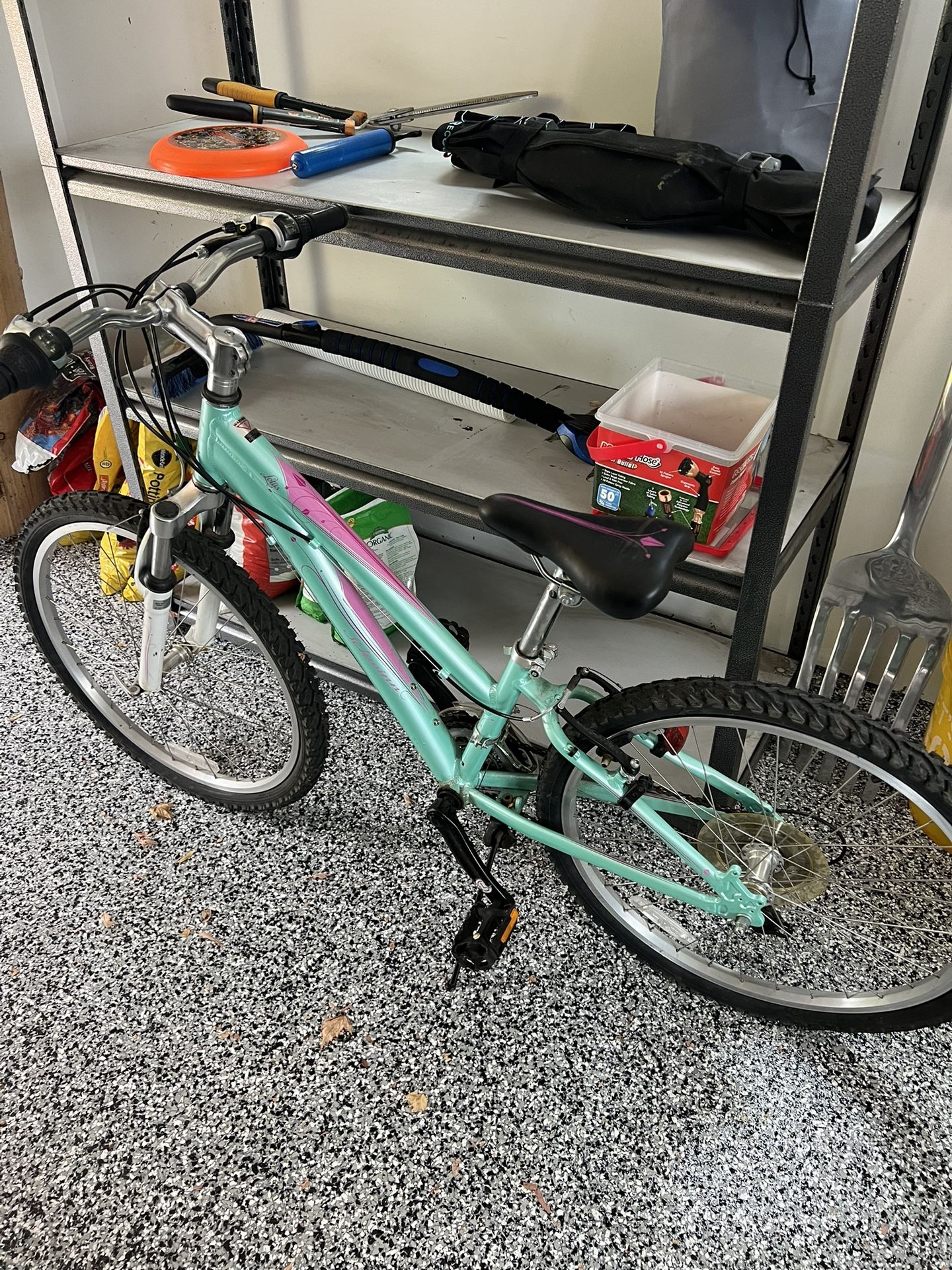 Girls Schwinn
