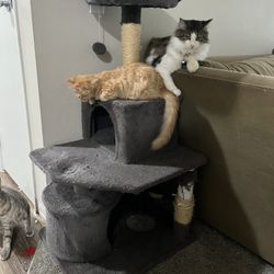 Small Cat Tree