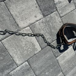 Neck Harness: Increase Neck Muscle Strength