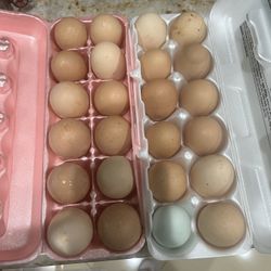 Large, Farm fresh Eggs