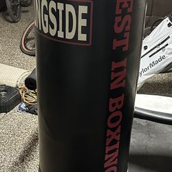 Stand Up Punching Bag
