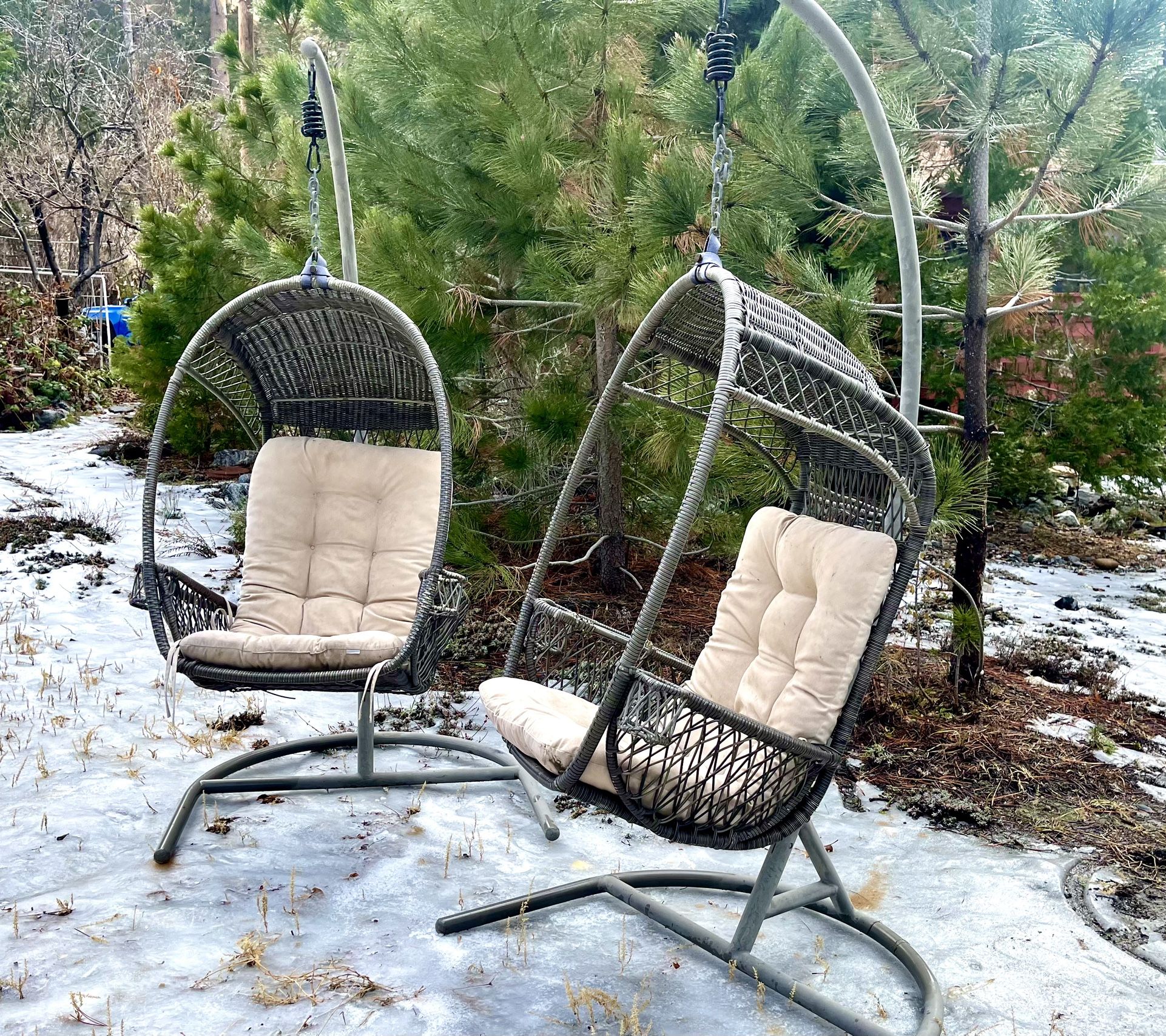 Hanging Egg Chairs