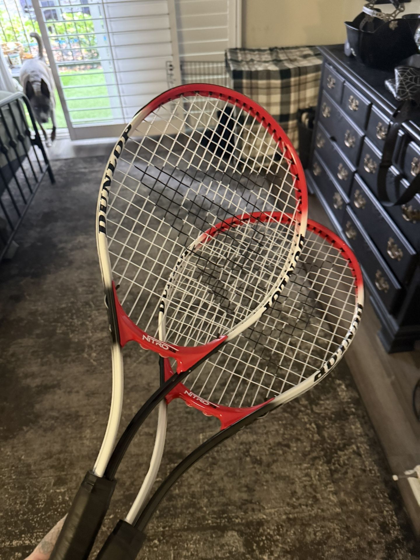 Tennis Racket + Tennis Balls