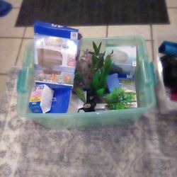 Variety Of Fresh Water Fish Tank Essentials 