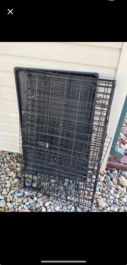 Large dog crate