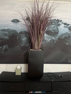 Big vase