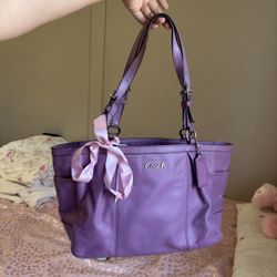 Vintage Coach Bag