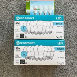 Led Bulbs