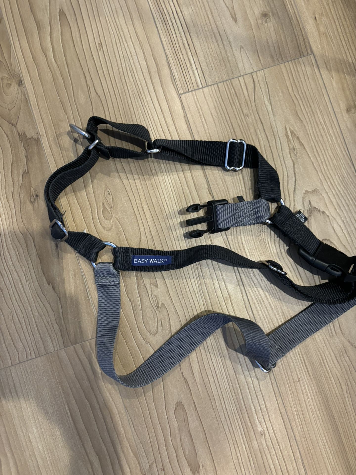 XL Dog harness