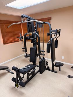 Gym Equipment