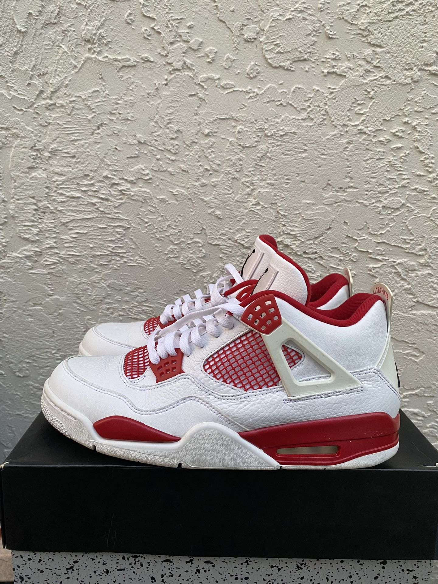 Size 13- Jordan 4 Alternate 89 