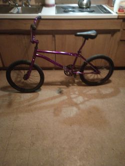Mongoose 20 Inch Bicycle Originally Froms