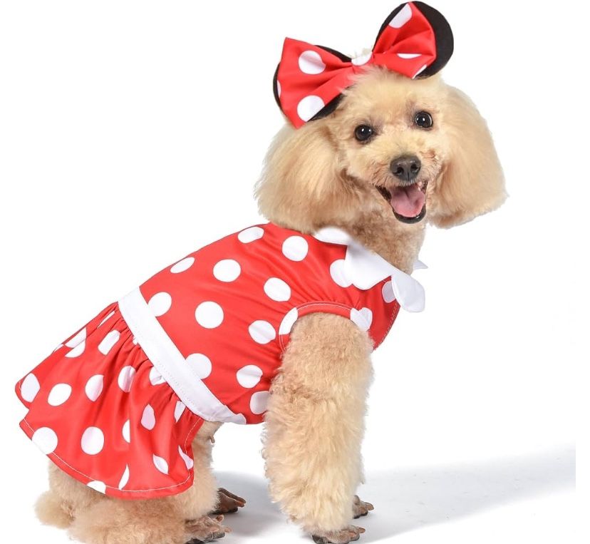 Minnie Mouse Dog Costume Small