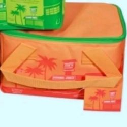 Trader Joe’s New insulated bag