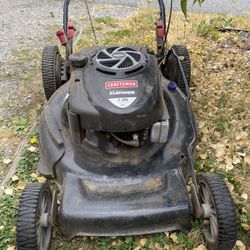 Gasoline Lawn mower 