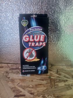 GLUE TRAPS