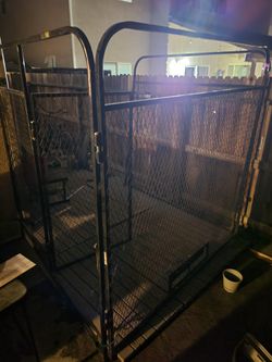 Kennel