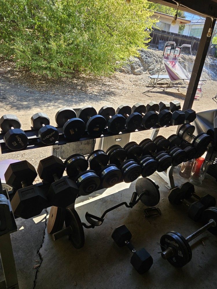 Hammer Strength Rack With Really Rare Hampton dumbbells