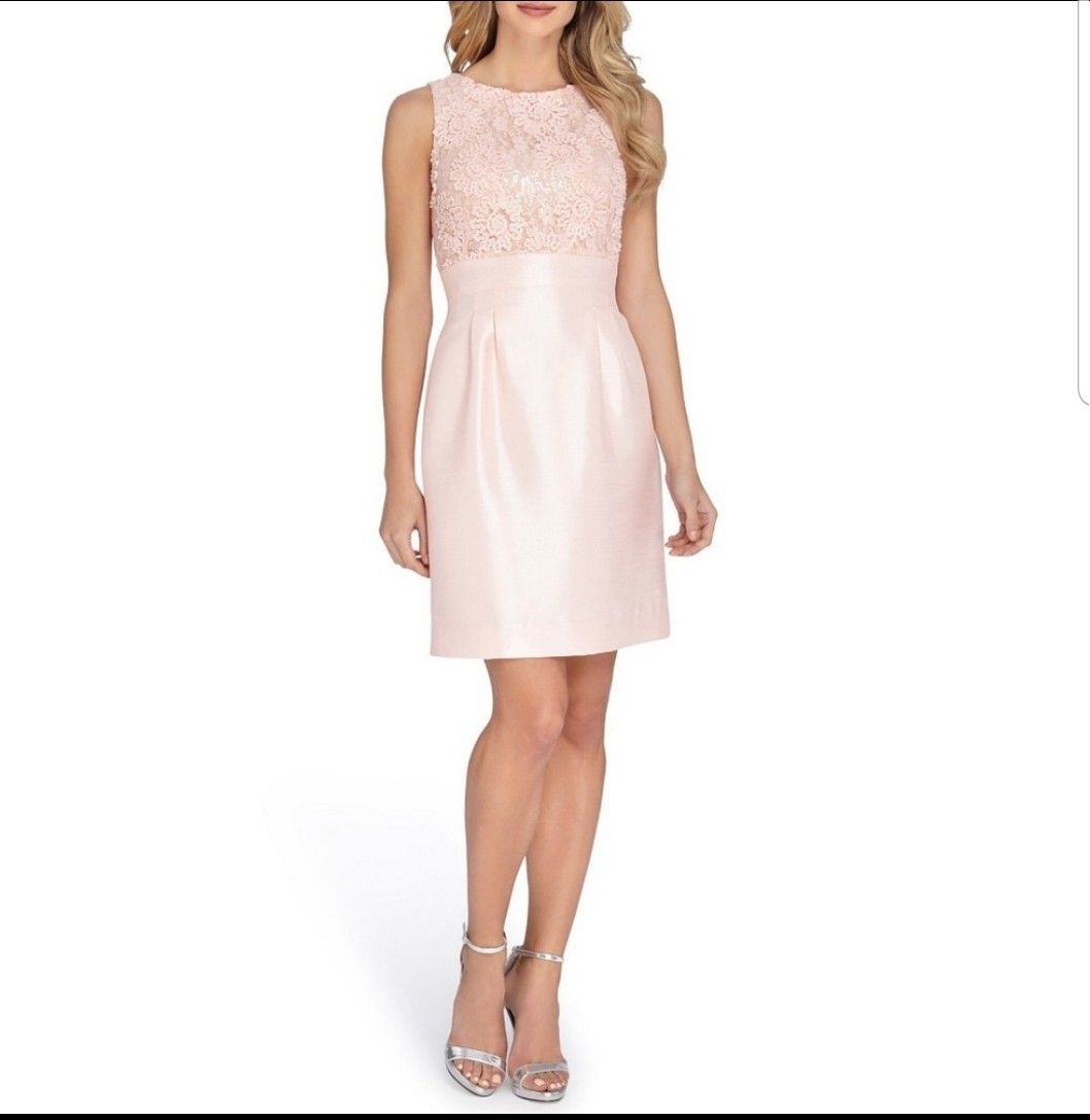 Tahari Blush Pink Embroidered Dress Size 10p