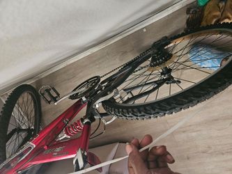 Mongoose bike