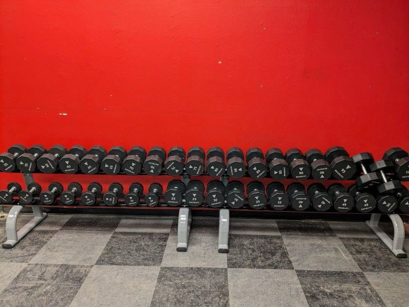 5 100 Urethane Commercial Dumbbell Set with 2 racks,All Products : American Fashion Style Bags On Sale