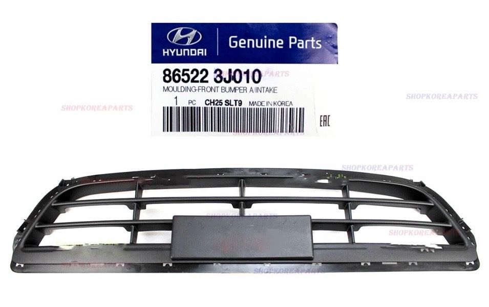 Genuine Front Bumper Radiator Grille Lower Center OEM Hyundai Veracruz 2007-2012
