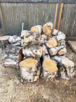 Fire Wood Birch